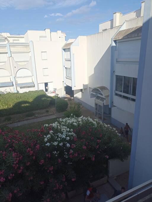 Appartement 2 Pieces + Cabine, 6 Couchages Le Grau-du-Roi Eksteriør bilde